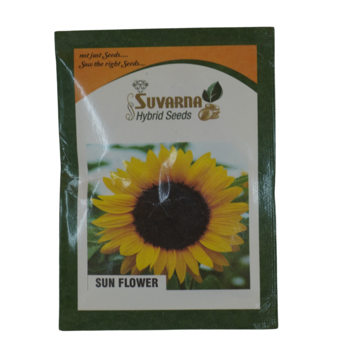 Sunflower Seeds of suvarna