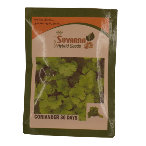 Coriander Seeds