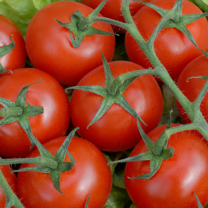 Tomato Seeds