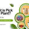 What is Pick Your Plant?