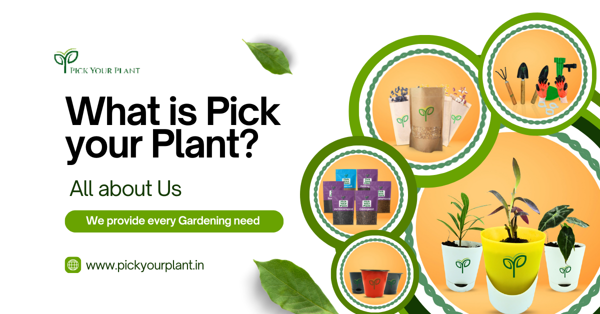 What is Pick Your Plant?