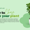 Why Choose Pick Your Plant?